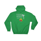 Hurricane Michael Lineman Storm Hoodie